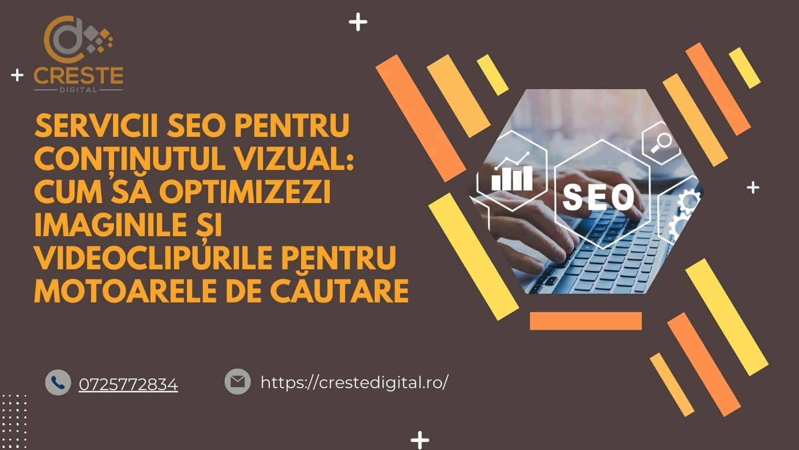 Servicii SEO