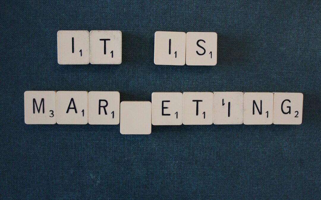 Avatarul clientului – factorul care dă tonul unei campanii de marketing