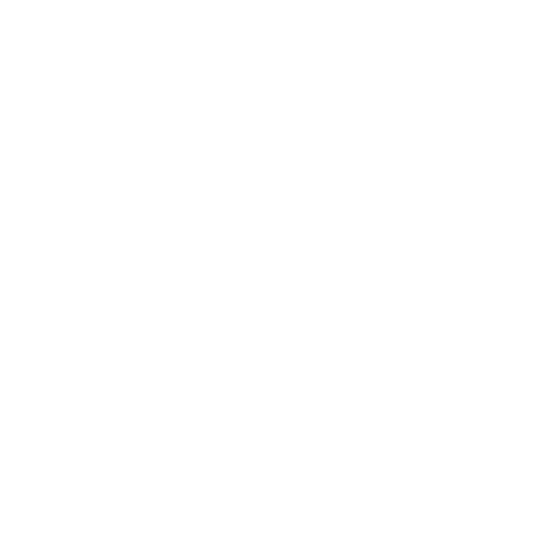 bmw-logo